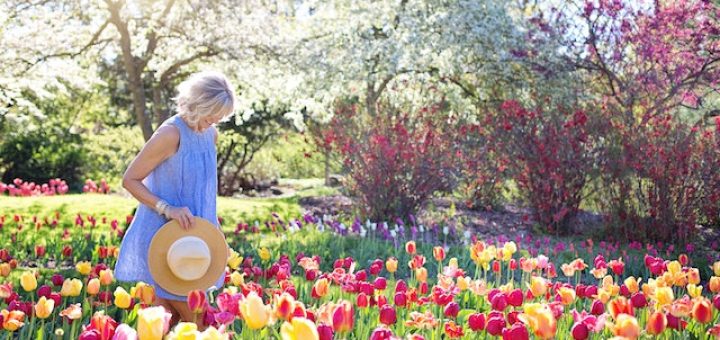 gajenje biljaka u basti