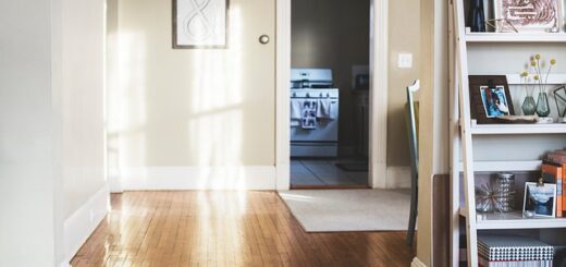 preseljenje u novi stan