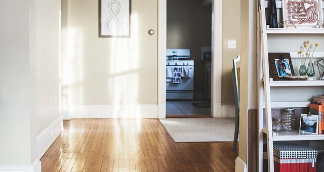 preseljenje u novi stan