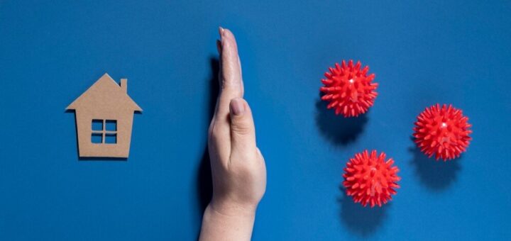 šaka ispružena izmedju makete kuće i bodljikavih kuglica